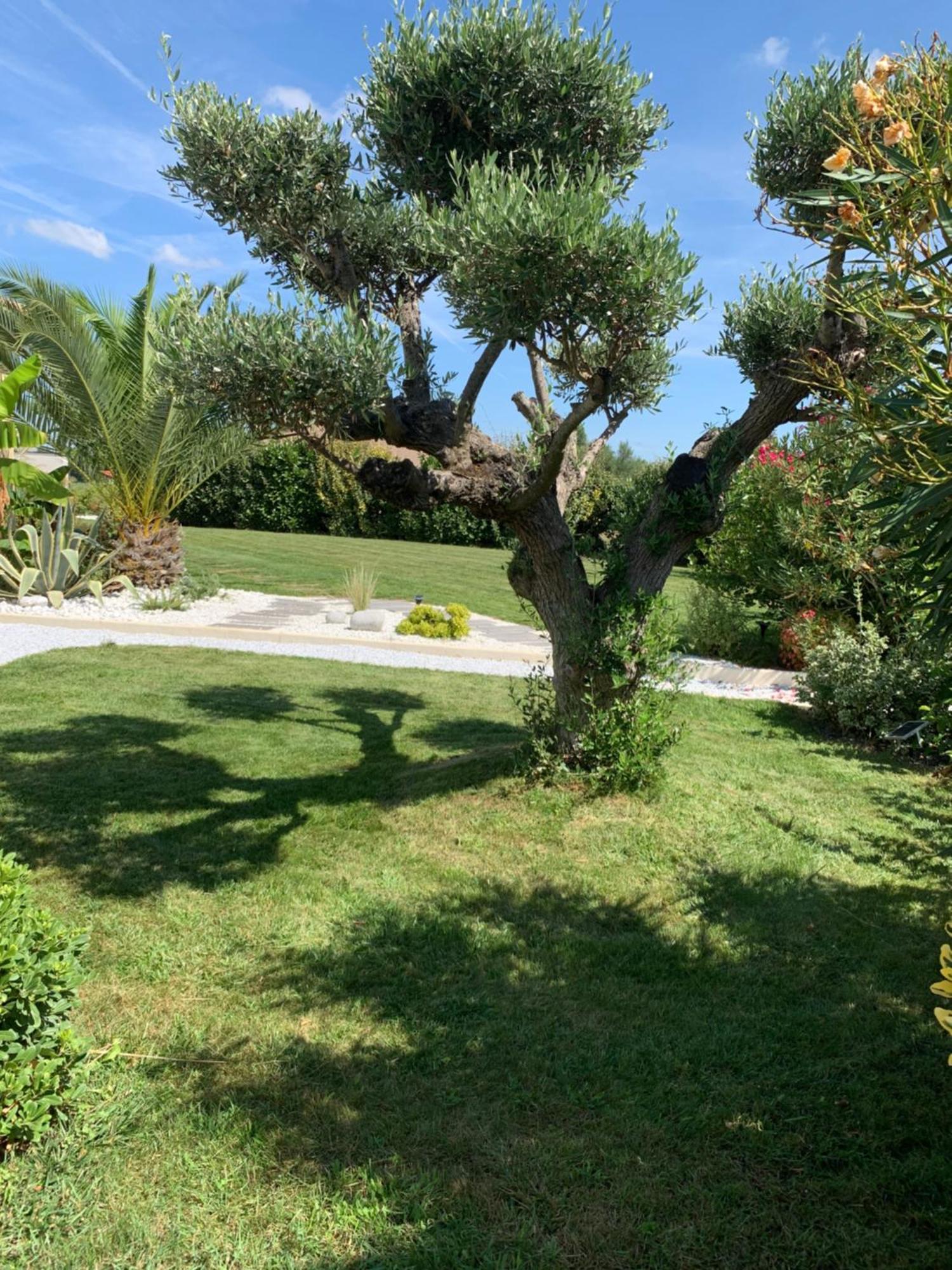 L Aparte D'Eliette En Pleine Nature A 10 Mn Du Meett, 15 Mn De L Aeroport Merville  ภายนอก รูปภาพ
